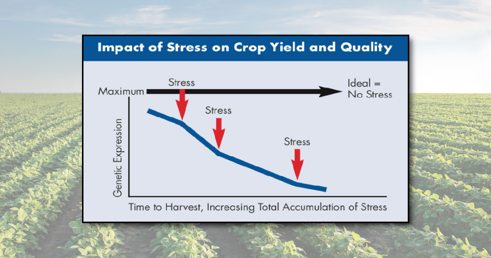 Impact of Stress on Crop Yield and Quality