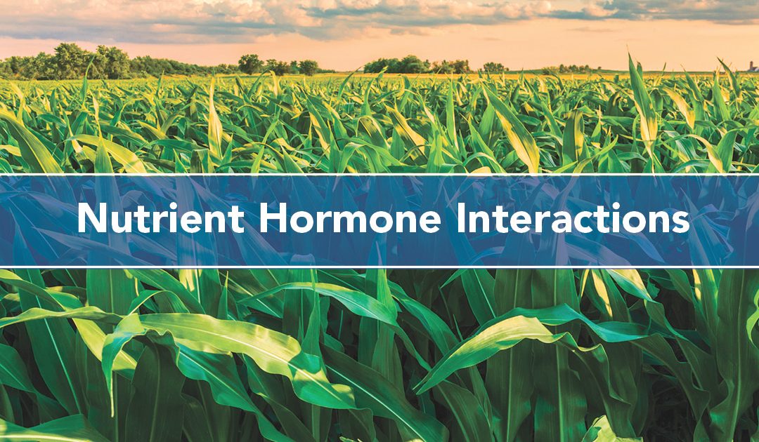 Nutrient Hormone Interactions