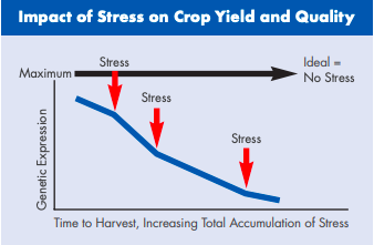 Crop Stress