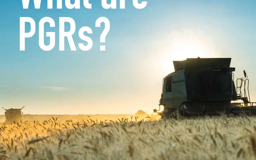 What are PGRs?