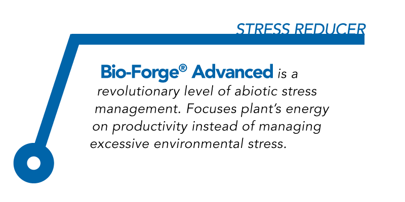 Bio-Forge Advanced