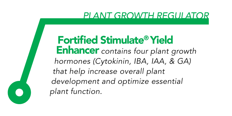 Fortified Stimulate Yield Enhancer