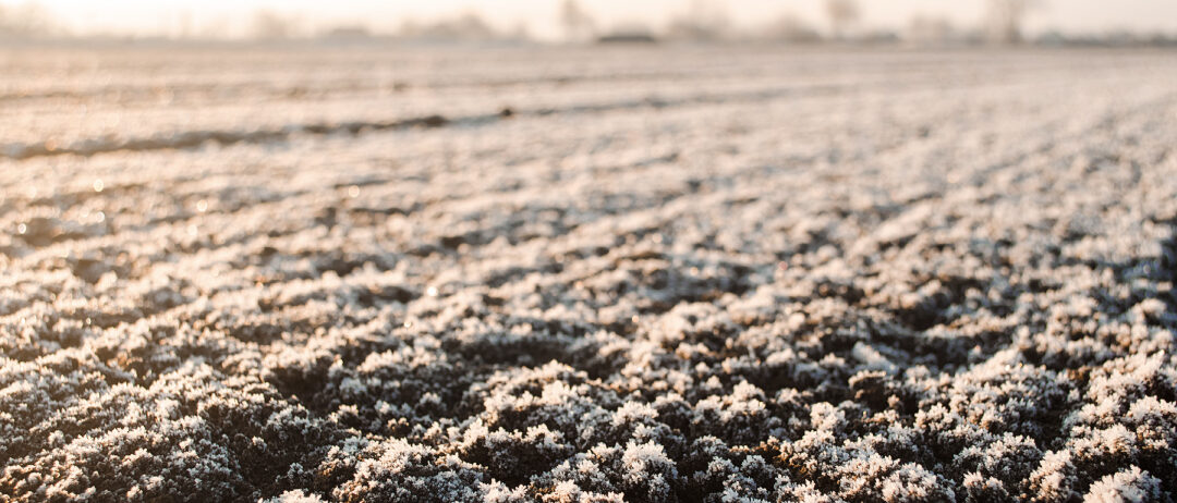 Worried About Cold Soil Seeding?